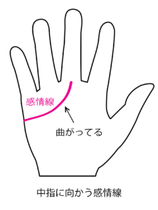 感情線考察 手相研究所 ナス猫の家 感情線考察 手相研究所 ナス猫の家